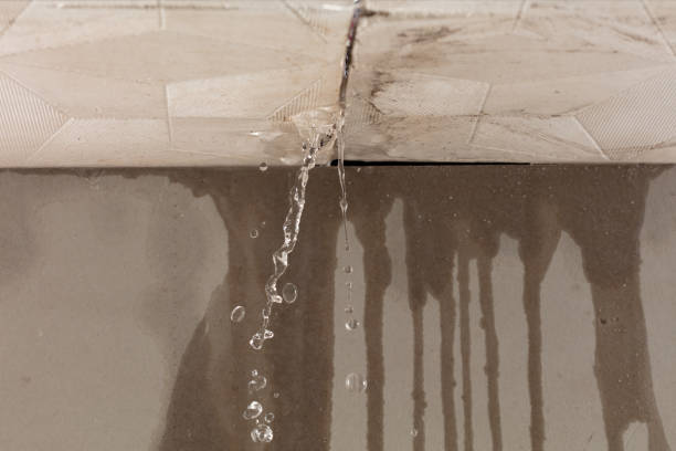 Professional Water Extraction technician working in Lambertville, MI